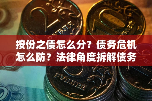武汉按份之债怎么分？债务危机怎么防？法律角度拆解债务分配与风险自保指南