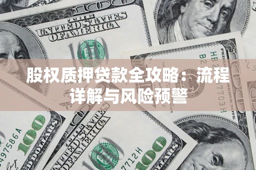 武汉股权质押贷款全攻略：流程详解与风险预警