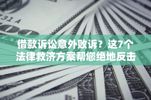 武汉借款诉讼意外败诉？这7个法律救济方案帮您绝地反击！