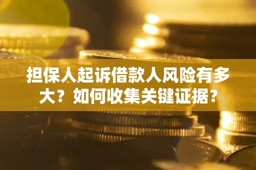 武汉担保人起诉借款人风险有多大？如何收集关键证据？