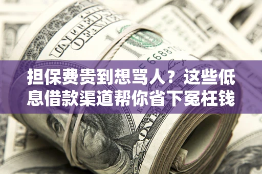 武汉担保费贵到想骂人？这些低息借款渠道帮你省下冤枉钱