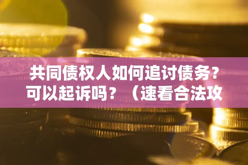 武汉共同债权人如何追讨债务？可以起诉吗？（速看合法攻略）