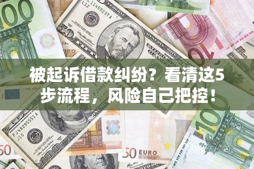 武汉被起诉借款纠纷？看清这5步流程，风险自己把控！