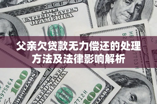 武汉父亲欠贷款无力偿还的处理方法及法律影响解析