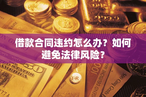 武汉借款合同违约怎么办？如何避免法律风险？