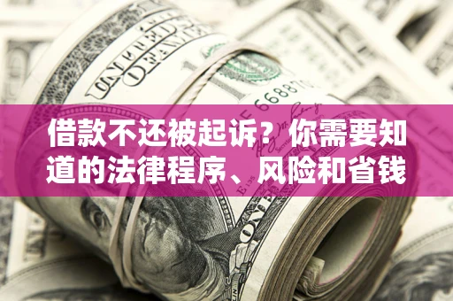 武汉借款不还被起诉？你需要知道的法律程序、风险和省钱技巧
