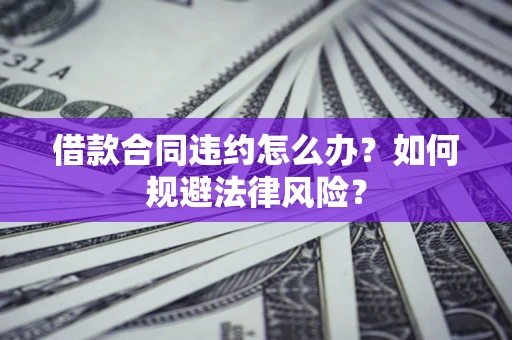 武汉借款合同违约怎么办？如何规避法律风险？